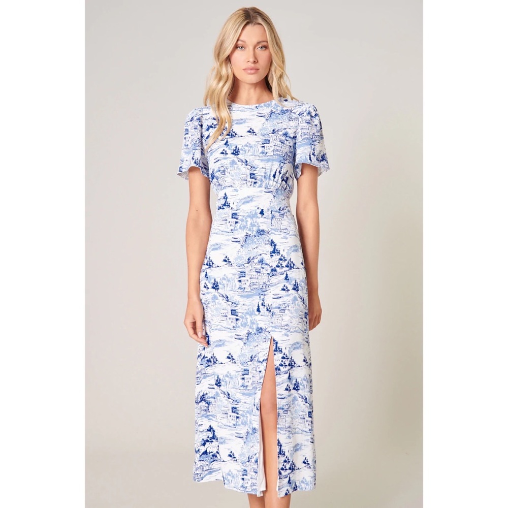 Toile Print Blue & White Midi Dress